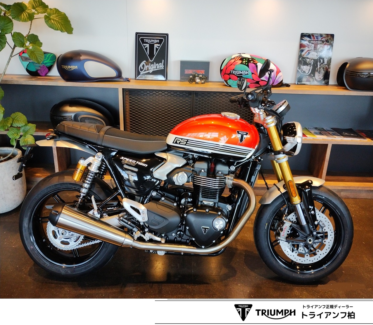 モダンクラシック | トライアンフ柏 | Triumphバイクの新車・中古車