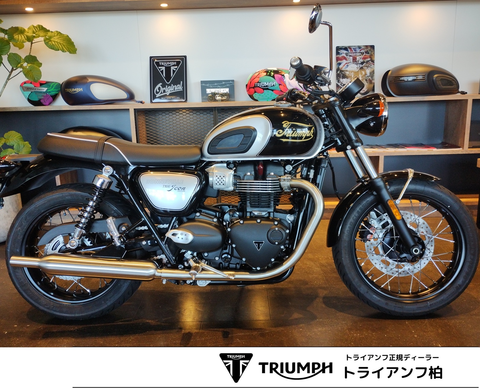 トライアンフ　ボンネビルT100　アイコン