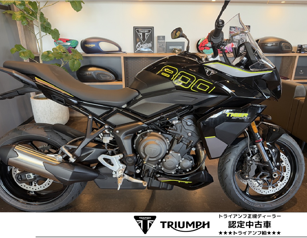 トライアンフ　タイガースポーツ800