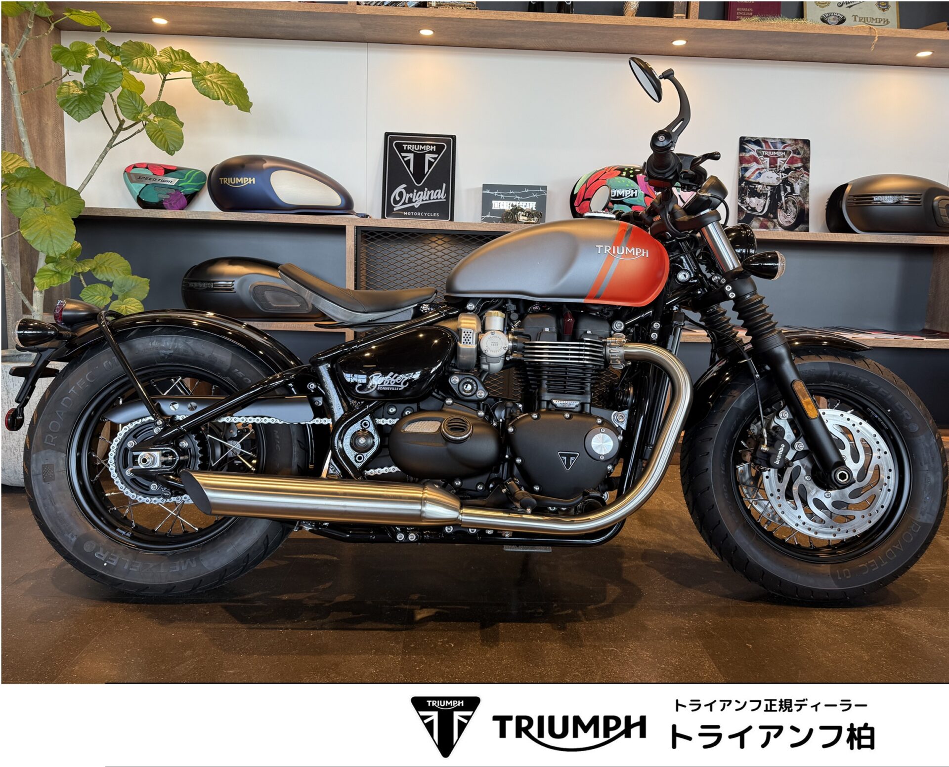 ボンネビルボバーの試乗車