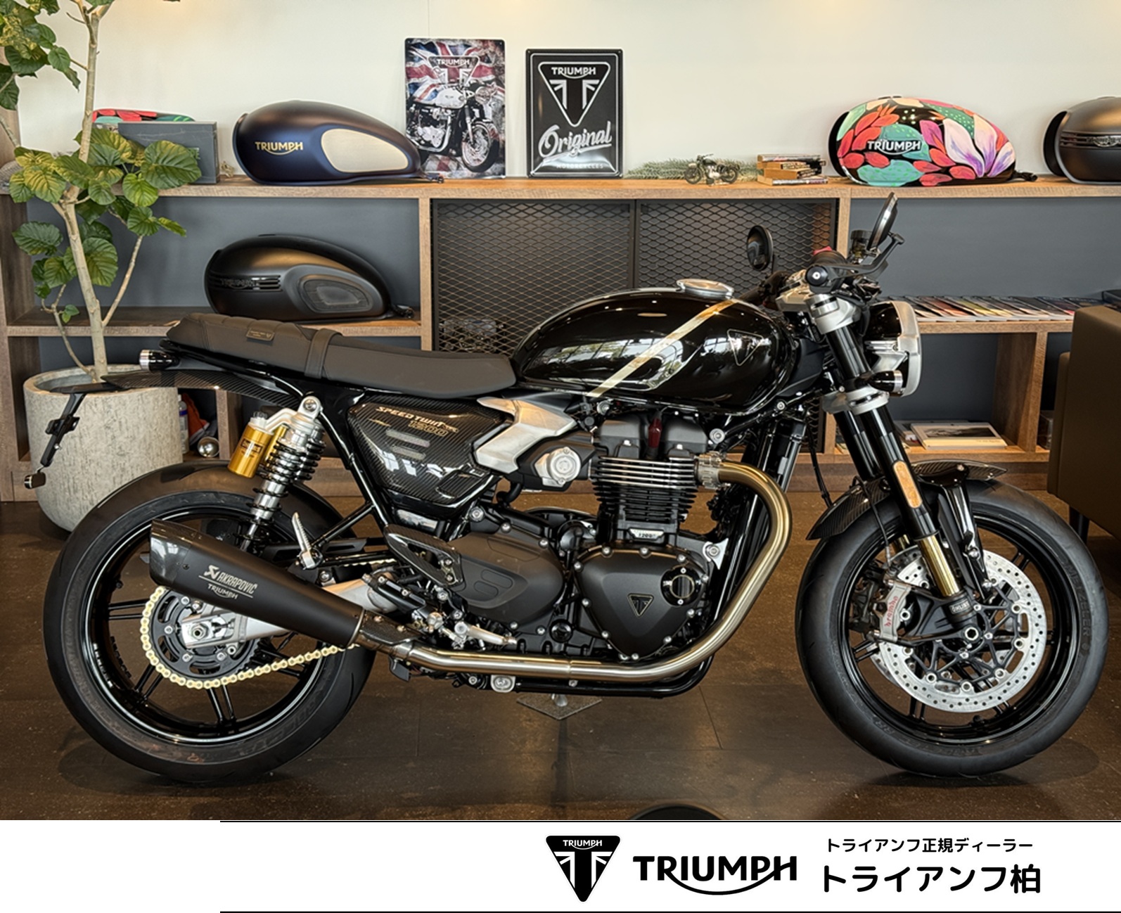 Speedtwin1200TFCの新車