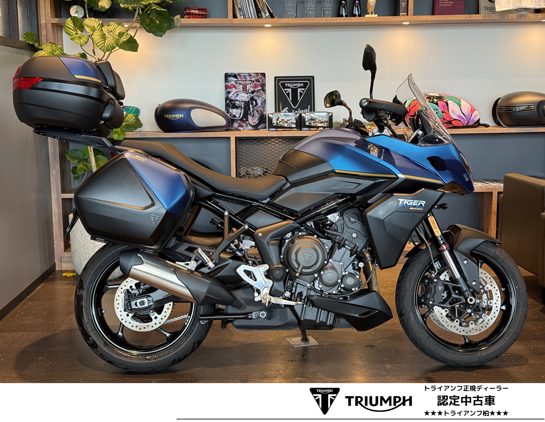 タイガースポーツ800ツアーの中古車